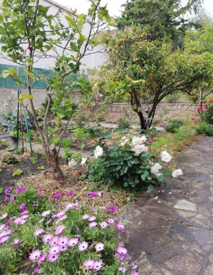 Ferienwohnung Casa Rossa Solenzara Sari-Solenzara Exterior foto